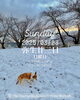 「Good morning Otaru.」