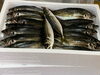 「ホームページはこちら🔗iwafunegyokou.com」