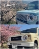 ジムニーとハスラーでお花見です「ジムニーとハスラーで早咲き桜お花見ドライブ💕」