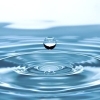 「[[意外と知らない？水道水の水質改善法！プロが教える正しい選び方]]」