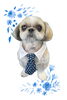 「Dog salon mofu mofu　余市町」