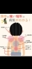 「背中の痛みの見取り図」