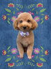 「Dog salon mofu mofu　余市町」