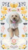 「Dog salon mofu mofu　余市町」