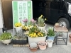 車で来ていただくと先ず目に入る光景だと思います。「お花が沢山咲いてます」