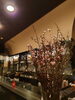 桜「店で花見酒しましょ🍶´-」