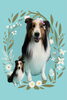 「Dog salon mofu mofu　余市町」
