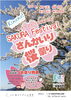 「【道の駅南えちぜん山海里】さんかいり桜祭り」