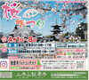 「上寺山餘慶寺🌸桜まつり🌸４月１日（火）～８日（火）」