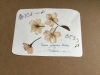 桜の花の押し花を友達が作ってくれました「土曜日は午後3時から」