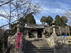 宮山の幸島稲荷神社「幸島山に桜が咲き始めますた」