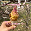 「サクラの季節限定🌸〖おいもしぼりました。ソフト🍦〗」