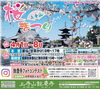 上寺山桜まつり　4月1日~8日「4月1日　上寺山の桜まつりに出店します。」