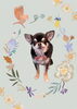 「　　Dog salon mofu mofu　余市町」