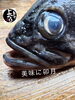 「クロソイ入荷致しました！」