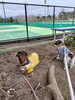 「こんにちは🐶☔️静岡市駿河区のペットサロン＆ホテル｜小型犬のトリミング、ストレスフリーな預かりを徹底！」