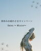 「【愛知県江南市】腸もみ 頭ほぐし よもぎ蒸し Minico」