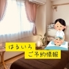 ご予約情報「はるいろ｜最新｜4月｜ご予約｜最新情報」