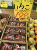 「お買得情報」