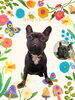 「Dog salon mofu mofu　余市町」