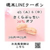 週末LINEクーポン　さくらぷっちい　20％オフ「週末お得クーポン配信中 【伊那市のお土産、ケーキ、スイーツといえばちいずくっきい】」