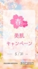 春の美肌キャンペーン「春🌸美肌キャンペーン実施中！！　～顔のお悩み（ほうれい線・たるみ・しみ・しわ）や身体と心のリラックスにはウェルネルビューティーサロン【いい顔サロン】へご相談下さい˚✧₊」