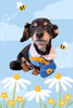 「Dog salon mofu mofu　余市町」