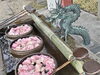 「津島神社 御手水」