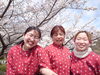 「デイサービス金太郎野外歩行訓練inグリーンピア八女桜見学(^O^)‼️。」