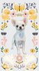 「Dog salon mofu mofu　余市町」