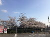 「西海橋物産館」