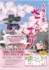 「久峰公園桜祭り🌸」