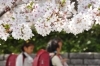 「新学期【学校教育　新学期　クラス】」