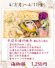 海御膳「【今週のお弁当のご紹介🌸✨】」