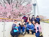 利用者さんとお花見会♪「2025年 お花見会！ぽかぽか陽気で春を満喫♪♪ 138タワーパークへ行きました！┃ オーディンキッチン江南店」
