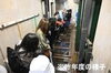 「「飼育の日」イベントを行います！」