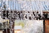 醍醐寺の桜　ⓒナルサン「醍醐寺【 やっぱり京都、そして伏見】～ vol.2 ～  Of course We’re going to Kyoto and Fushimi. ～」