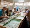 高橋水産作業場の様子「美味しい干物が入荷‼」