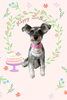 「Dog salon mofu mofu　余市町」