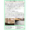 彩晃ニュース4月号①「シロアリが発生する季節になりました😖」