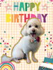 「Dog salon mofu mofu　余市町」