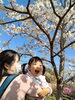 「毎年恒例の別府ラクテンチ桜まつりに行きました！【集団指導・個別指導】【王子・南大分・城南・上野ヶ丘・附属・大分西・大道・西の台・荏隈・金池・豊府】」