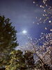 幸せだなって思える夜に感謝です♪「想いがスピーディに叶う[米子レイキ講座]」