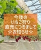 「『お知らせ♪』」