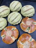まっ茶のパン始まりました「まっ茶のパン　岡山市北区パン屋　Bancho Bakery」
