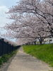 「入学シーズン🌸🏫」