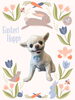 「Dog salon mofu mofu　余市町」