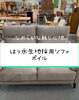 「撥水生地ソファ 「ボイル」【村上市の家具屋です。ベッド・ソファ・インテリアを扱っています。カーテン、ロールスクリーンもお任せ下さい】春、桜満開🌸」