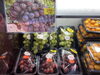 シードレスブドウ🍇「パリッと皮ごと食べられるシードレスぶどう🍇　ご来店お待ちしております🎵　 枚方ビオルネ地下1階　新鮮果実 日野屋」