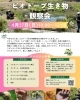 「𓆏4月のビオトープ生き物観察会𓆏」